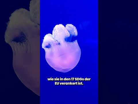 GreenART Kapitel 4: Kunst als Spiegel der Natur