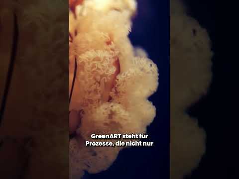 GreenART Kapitel 2: Sonja Dolzer: Eine Visionärin für nachhaltige Kunst