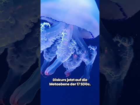 GreenART Kapital 8: Kunst als Antwort auf ökologische Herausforderungen