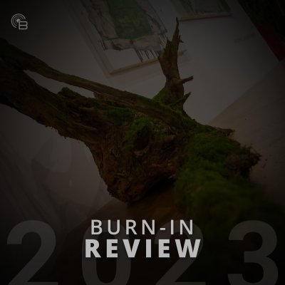 BURN-IN Review 2022