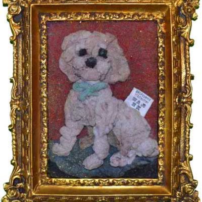 Hunde nicht in den Wäschetrockner