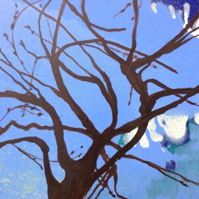 old tree