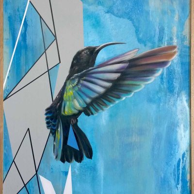 Kolibri