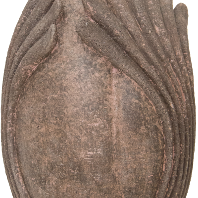 Knospe
