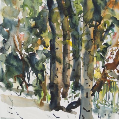 Trees 1