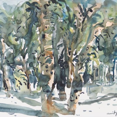 Trees 2