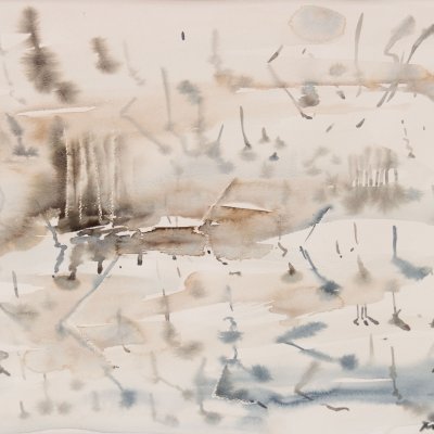 Wetland 1