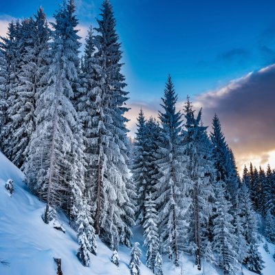 Foisching Wintertraum