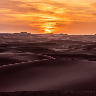 Sonnenuntergang in der Sahara #3776