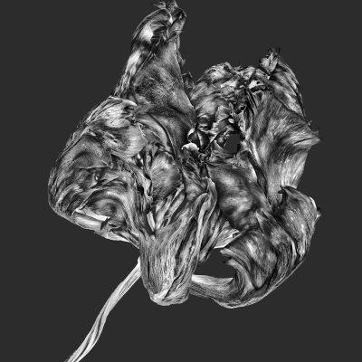 DD 110 B