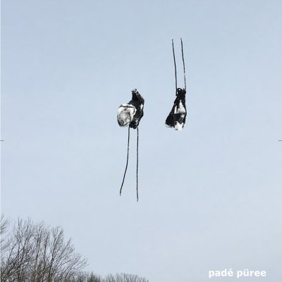 Buch padé püree