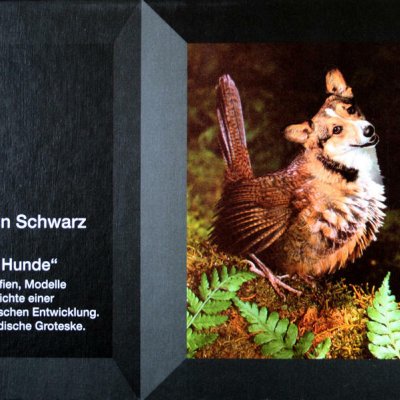 Neue Hunde, Fotografien, Modelle und Berichte einer futuristischen Entwicklung. Eine badische Groteske