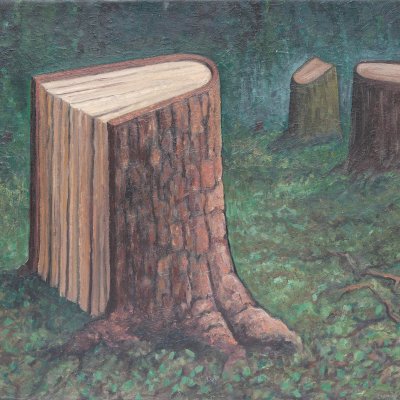 Bucherkenntnis im Wald 
