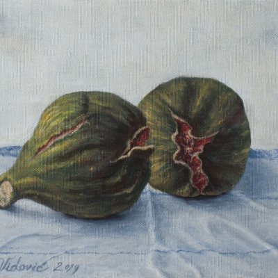 Feigenduo