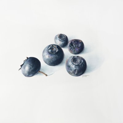 Vaccinum myrtilus | blueberry