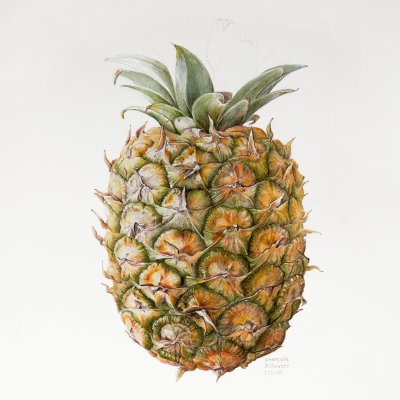 Pineapple