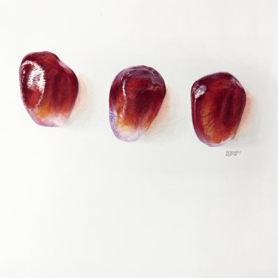 Punica granatum | pomegranate seeds