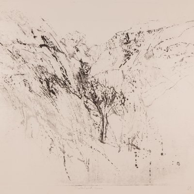 Eruptives 