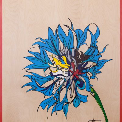 Blue Cornflower