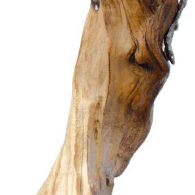 Szep o.T. 5