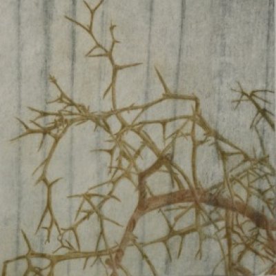 Prekäres Gleichgewicht XIII