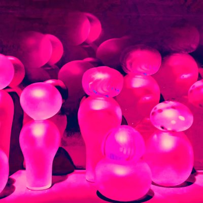 The Glass Tribe1