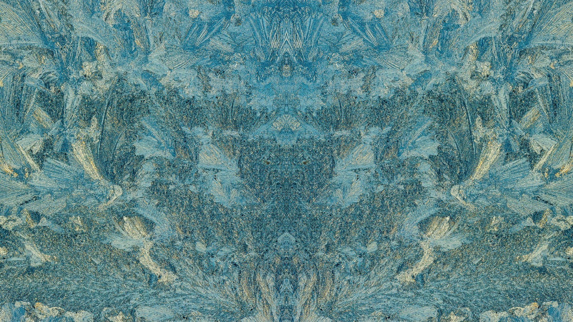 Fractals