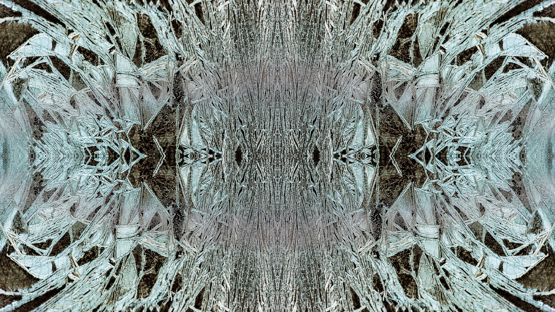 Fractals