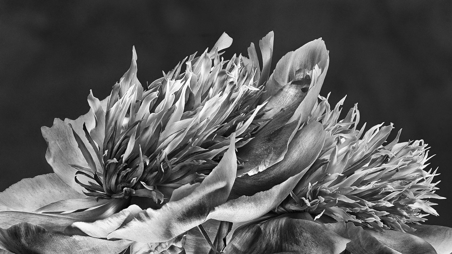 Beyond Black & White