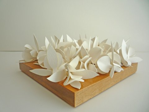 Fuchsien