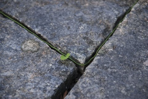 Steingearbeitet V