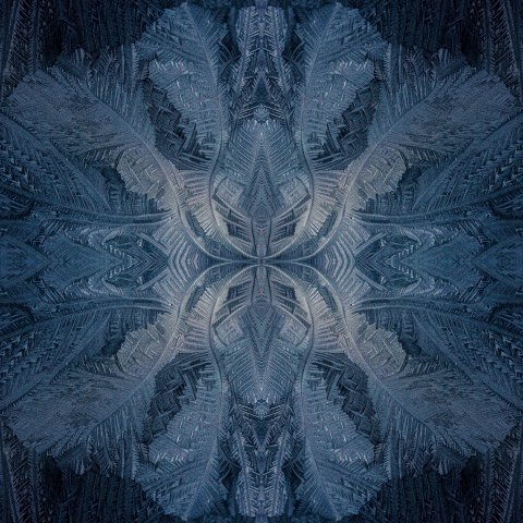 Eisblumen #20180228134029