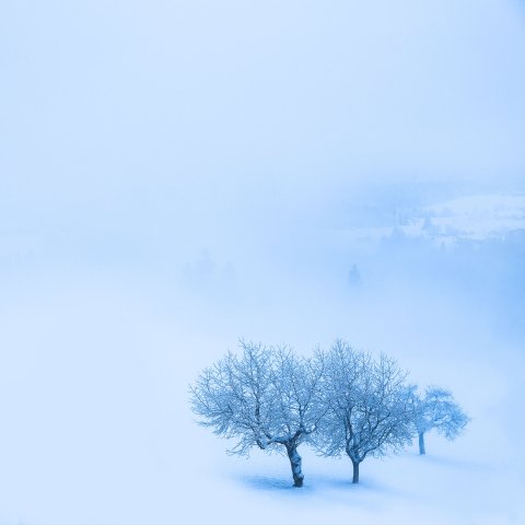 Schneelandschaft #102043