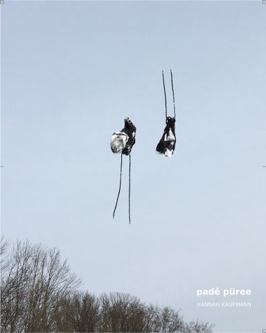 Buch padé püree