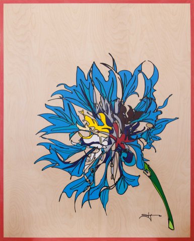Blue Cornflower
