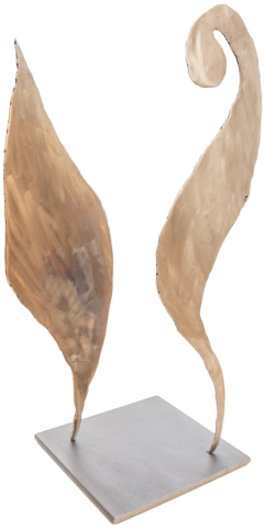 HIPPOCAMPE