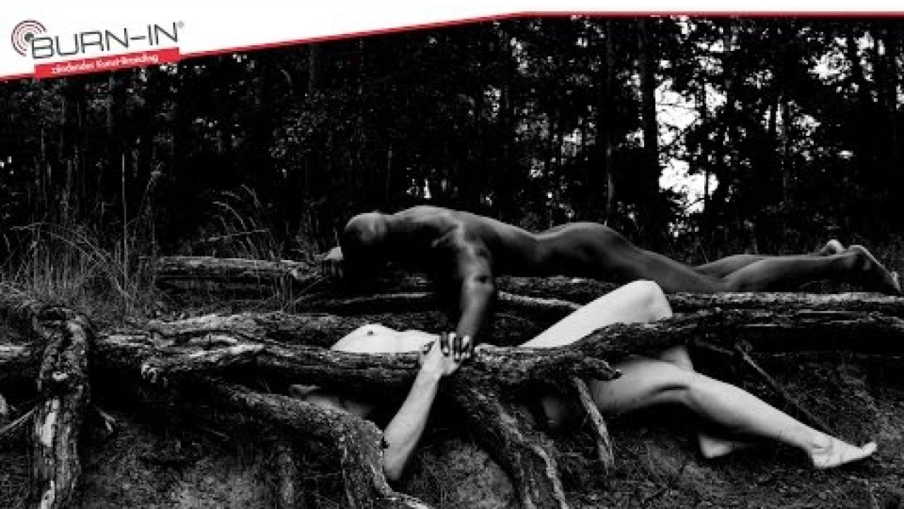 BURN-IN Body Sceneries Cover Image