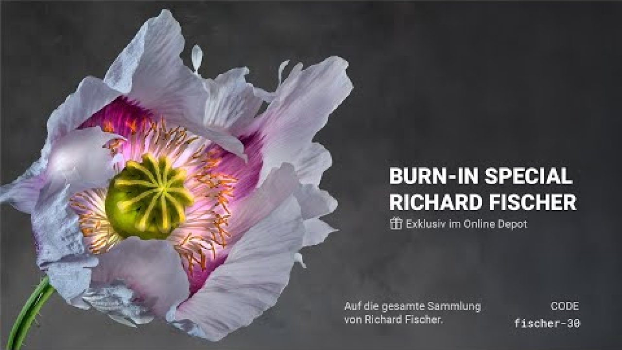 The Art of Transformation - Richard Fischer | Artfeature  @richardfischer9983 Cover Image