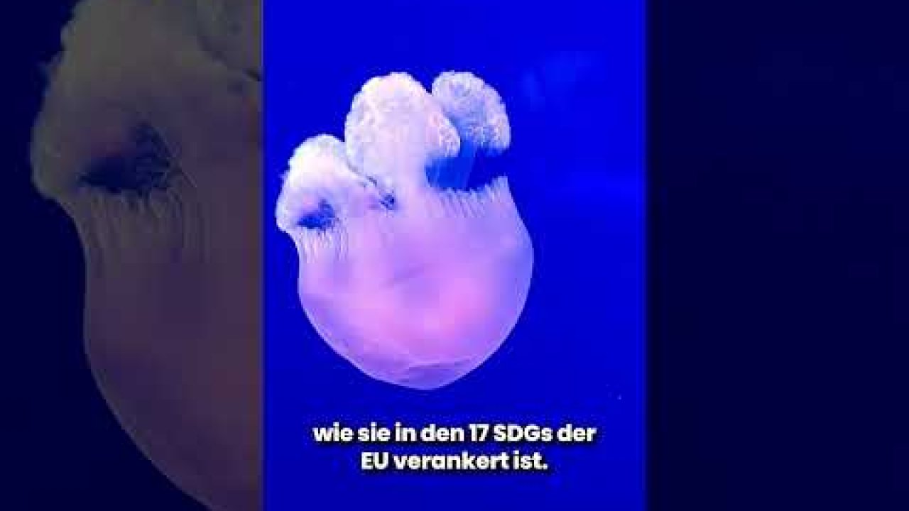 GreenART Kapitel 4: Kunst als Spiegel der Natur Cover Image