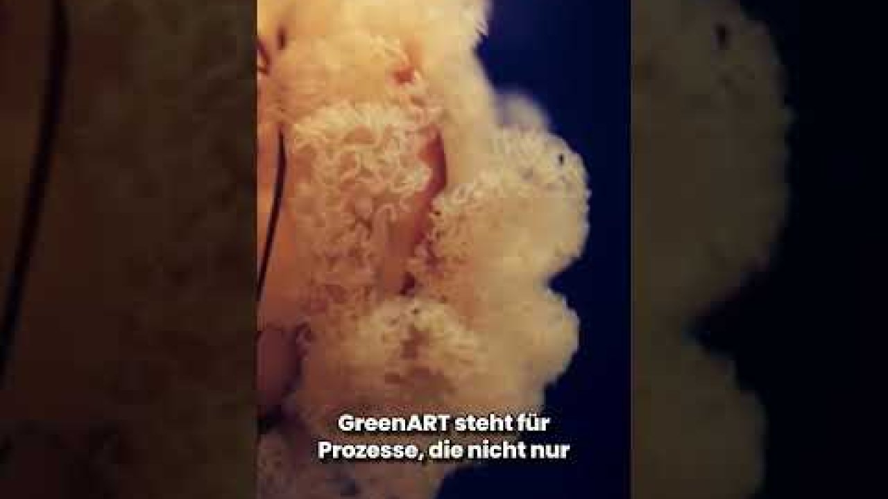 GreenART Kapitel 2: Sonja Dolzer: Eine Visionärin für nachhaltige Kunst Cover Image
