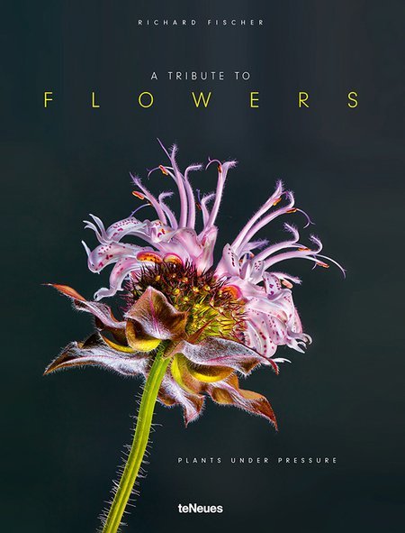 A Tribute to Flowers