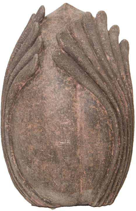Knospe