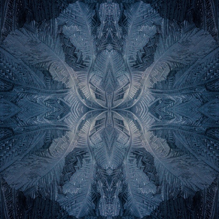Eisblumen #20180228134029