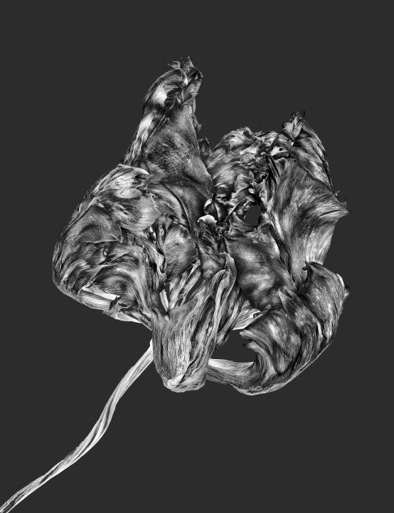 DD 110 B