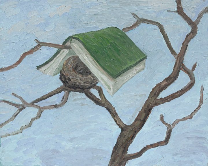 Buch Bilder 10