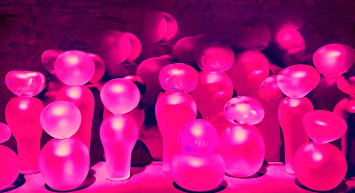 The Glass Tribe1